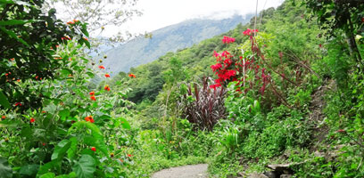 Inca Jungle Trail towards Santa Teresa