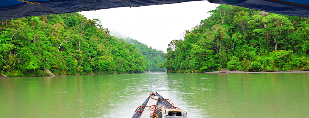 Rivière Alto Madre de Dios